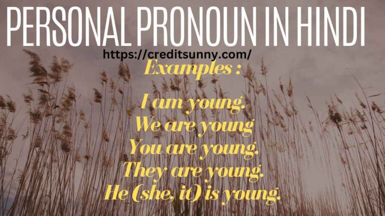 Personal Pronoun in Hindi